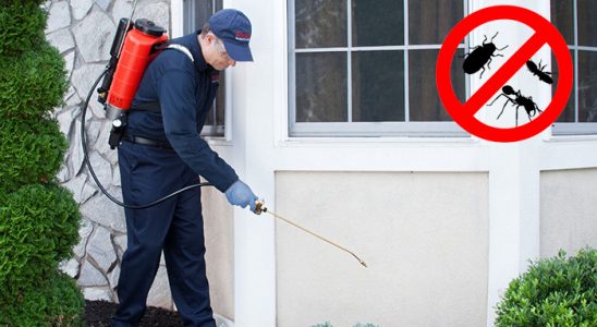 Akyurt Böcek İlaçlama böcek ilaçlama ve haşere kontrolü — ilaclama-tr.com